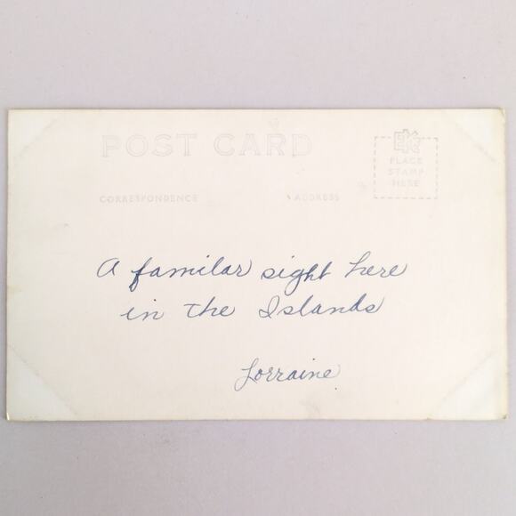 Vintage 1930s Coconuts Honolulu Hawaii Postcard Real Photo RPPC Sepia Kodak - Picture 2 of 2